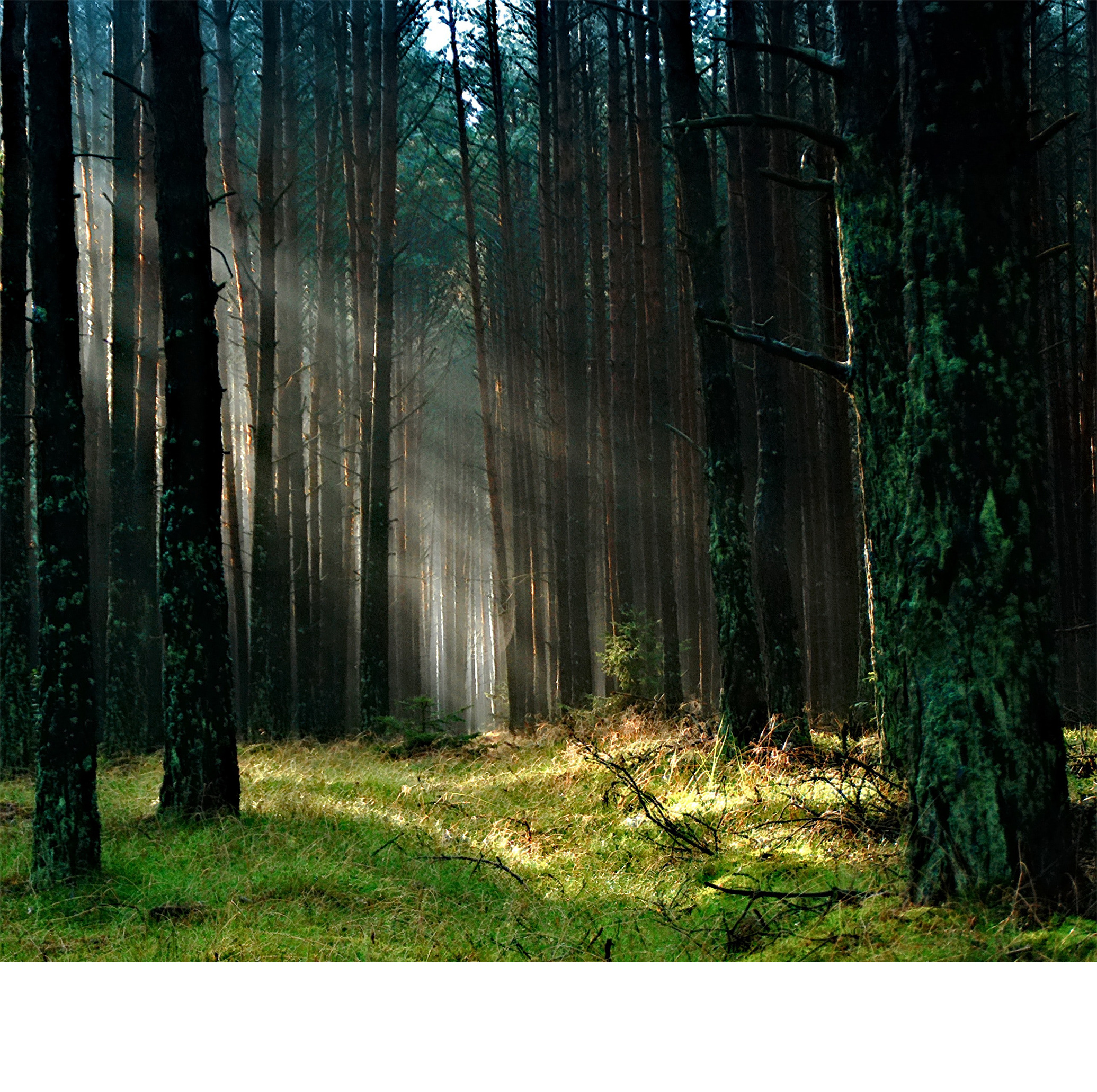 photo-composite-apres©subliphoto2021