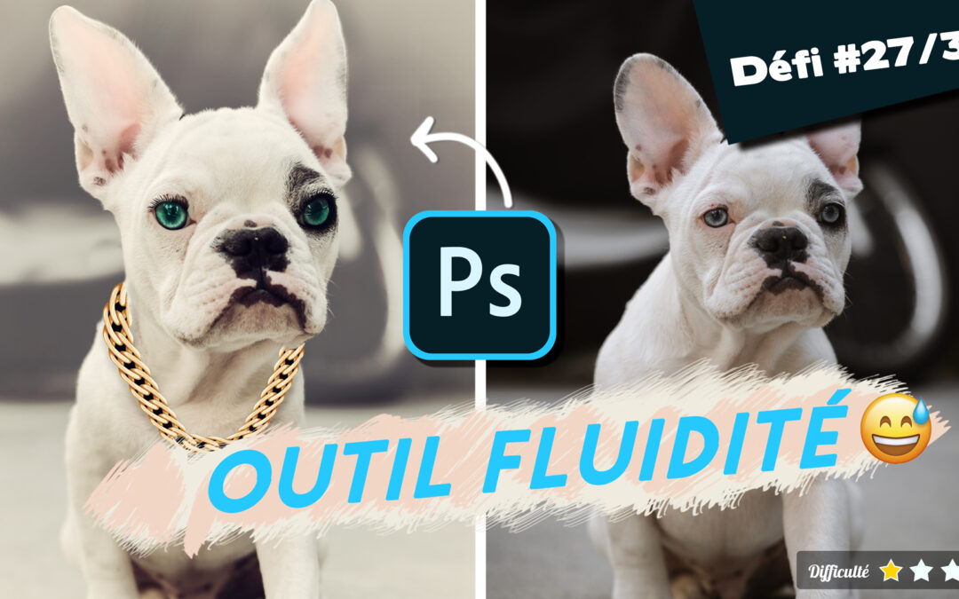 🎓Comment déformer une image avec l’outil fluidité de Photoshop ?