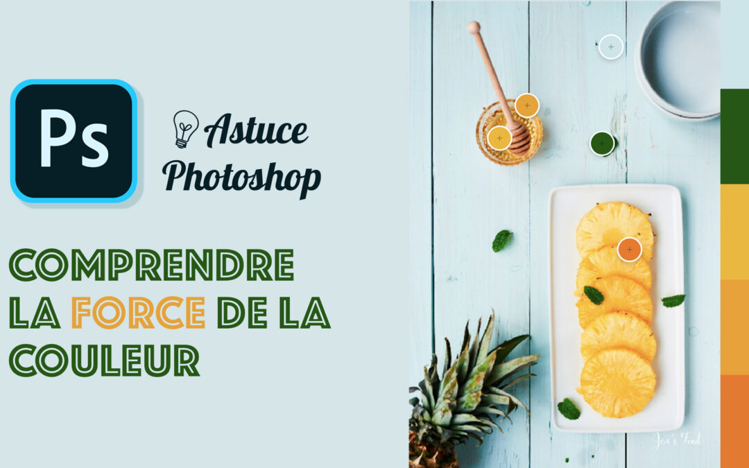 La force des couleurs dans les images : comprendre la roue chromatique